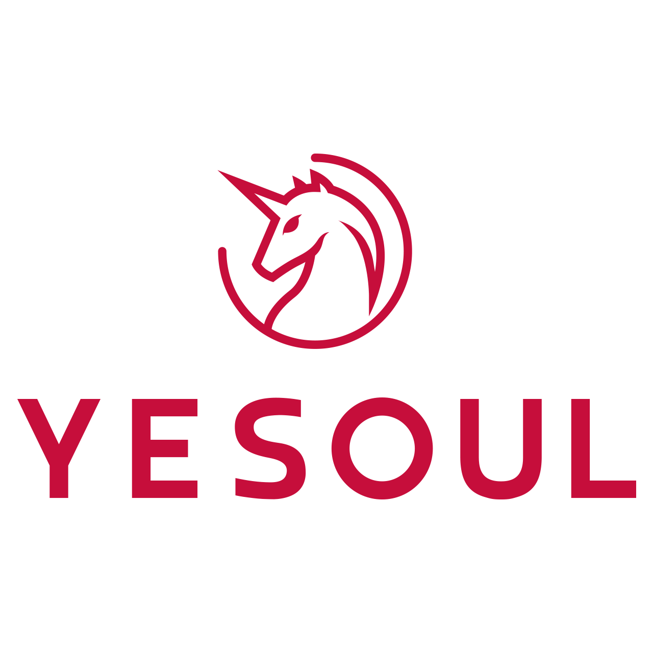 Yesoul Health Technology Co., Ltd.