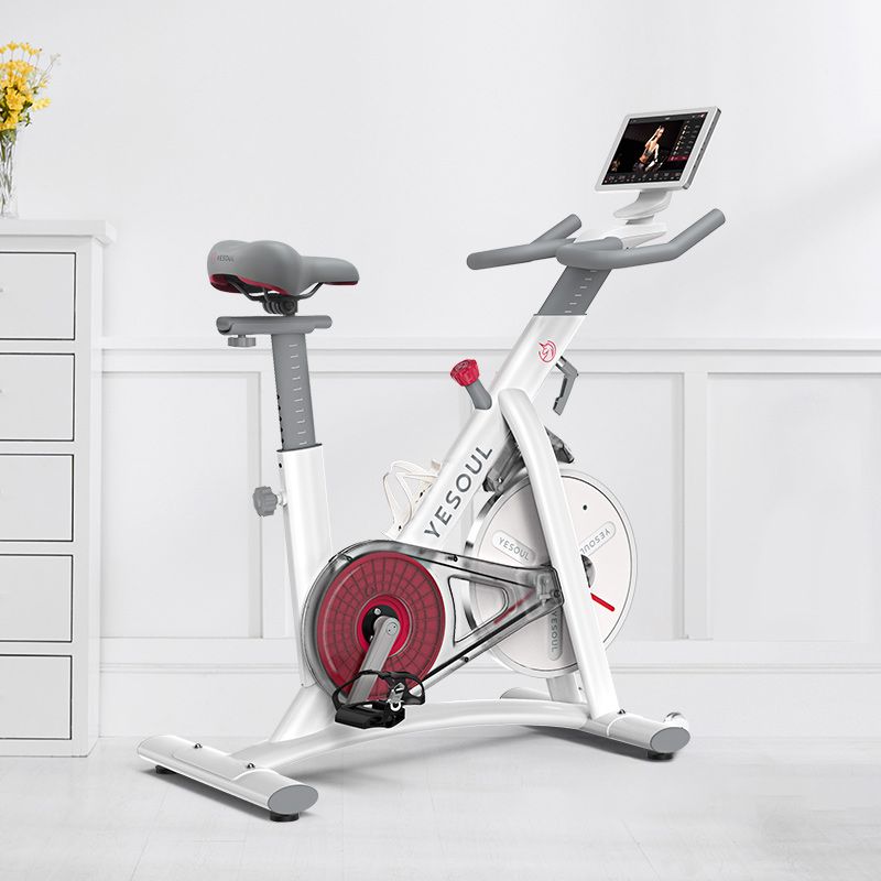 upright or spin exercise bike